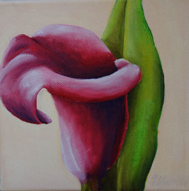 Calla