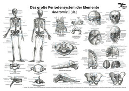 Große Periodensystem der Elemente − Anatomie I (Latein) (A3)