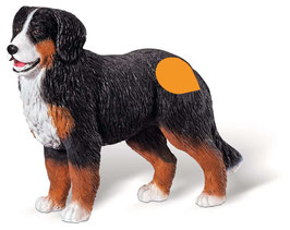 tiptoi® Spielfigur Berner Sennenhund