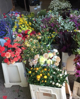 Seau de fleurs du moment