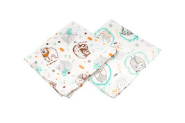 Bamboo duo cloths - bears and owls