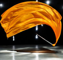 1 STÜCK (!!!) Voi Poi, Orange, rechteckig