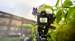 Basiscursus Fotografie | (start 10 september)