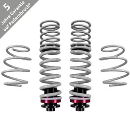 LOWTEC GewindeFedern Kit HA