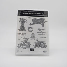Produktpaket "Autumn Goodness"