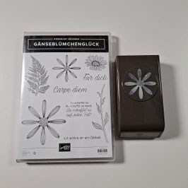 Produktpaket "Gänseblümchenglück"