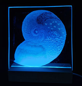 Glass decoration "Nautilus"