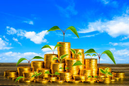Tagesseminar: "Finanzielle & spirituelle Fülle" am Samstag, den 04.10.25 - im Yogastudio und auch online auf Zoom
