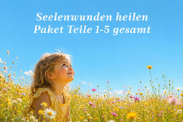Seelenwunden heilen Gesamtpaket Teile 1-5 online auf Zoom zum Sonderpreis von 200 Euro