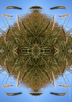 Poster Motiv: Mandala 893, Karton