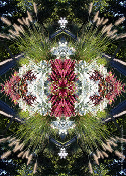 Poster Motiv: Mandala 1035, DIN A3, Karton