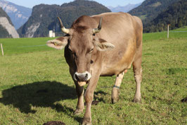 Geburtstag: 12. Oktober. 2024 Adelia