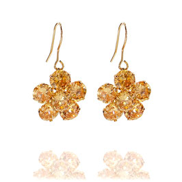 Amber Galactiva