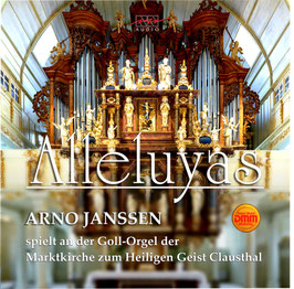 Eine neue, phantastische LP von RN AUDIO!: Die unglaubliche Orgel von Clausthal! DMM-Schnitt von Pauler Acoustics!