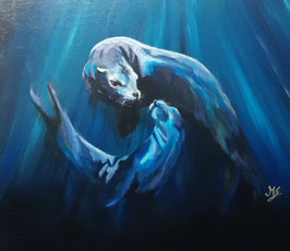 Unterwasserwelt Seehunde