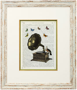 Marion McConaghie-Gramophone, Bird & Butterflies