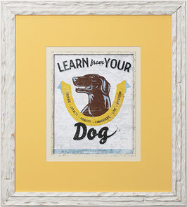 Luke Stockdale-Learn From Your Dog