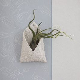 Porta Tillandsia pensile