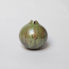 Melograno verde 10 cm