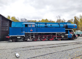 Trix 25477 Dampflokomotive Baureihe 477.0 Papagei