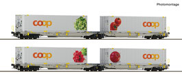 Roco 6600322 2-delige set 1: Gelede dubbelzakwagen T2000, railCare