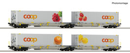 Roco 6600323 2-delige set 2: Gelede dubbelzakwagen T2000, railCare
