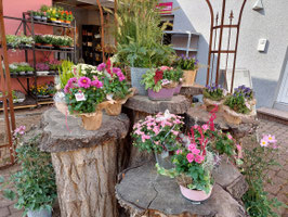 Körbe und besondere Gefäße herbstlich bepflanzt