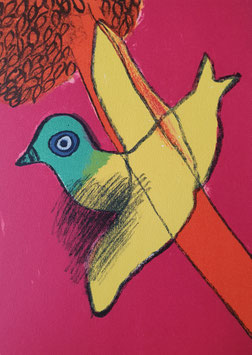 Femme et oiseau de îles