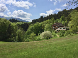 Retreat für Frauen im Schwarzwald 25.-28. Juni 2026
