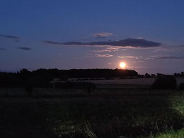 08-19 Vollmond-Abendtour am Mo, den 19.08.2024