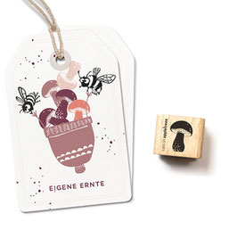 27556 Stempel kleiner Steinpilz