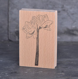 11-10283 Stempel Amaryllis