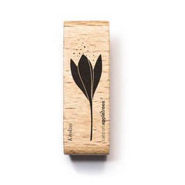 27445 Stempel Krokus