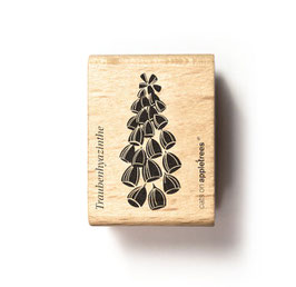 27447 Stempel Blüte 31 Traubenhyazinthe 2