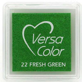 97022 Stempelfarbe VersaColor Fresh Green
