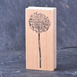 13-10297 Stempel Pusteblume