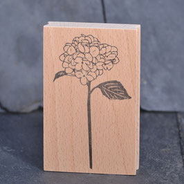 11-10254 Srempel Hortensie