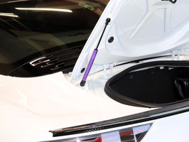 アルピーヌA110 COLORトランクダンパーキット 3本セット