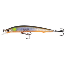 Fanatics Banish 80SS AS