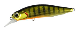 DUO Realis Rozante 63SP Gold Perch