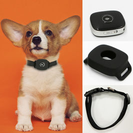 1376 Reptrek® MINITREK pet GPS tracker 4G