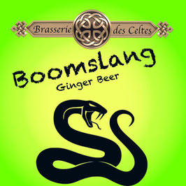 BOOMSLANG