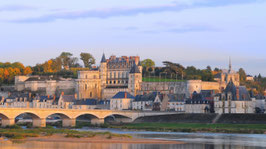 Excursion 5 / Chambord+Cheverny+Amboise+Chenonceau