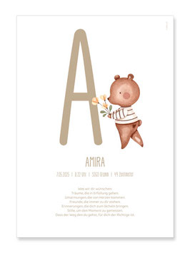 Geburtsposter Amira