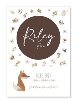 Geburtsposter Riley