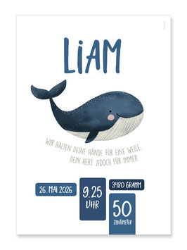 Geburtsposter Liam