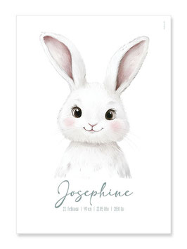 Geburtsposter Josephine