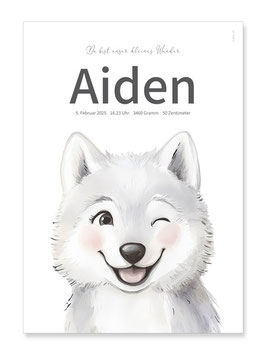 Geburtsposter Aiden