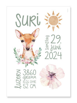 Geburtsposter Suri