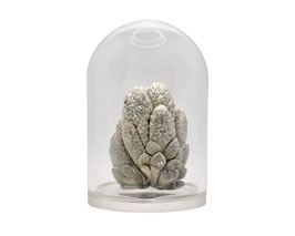 Lithium stunning crystals , oxide free, argon sealed glass dome